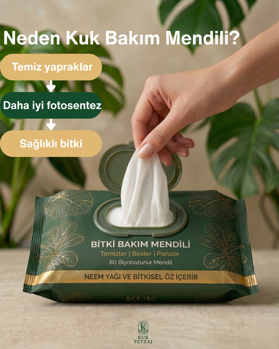 KUK Bitki Bakım Mendili kullanım rehberi