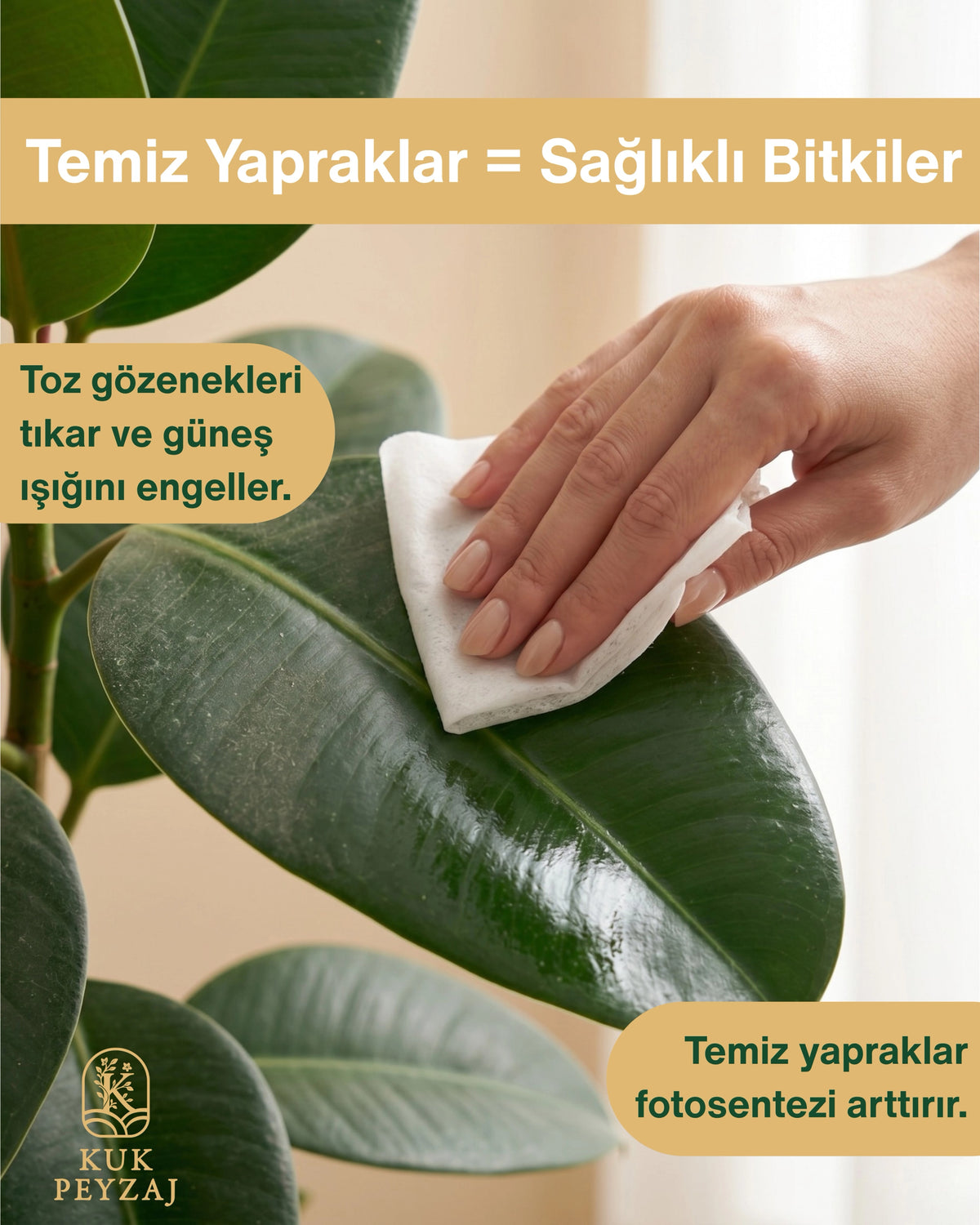 KUK Bitki Bakım Mendili, Neem yağlı, 80 biyobozunur mendil, görsel 3 / 5