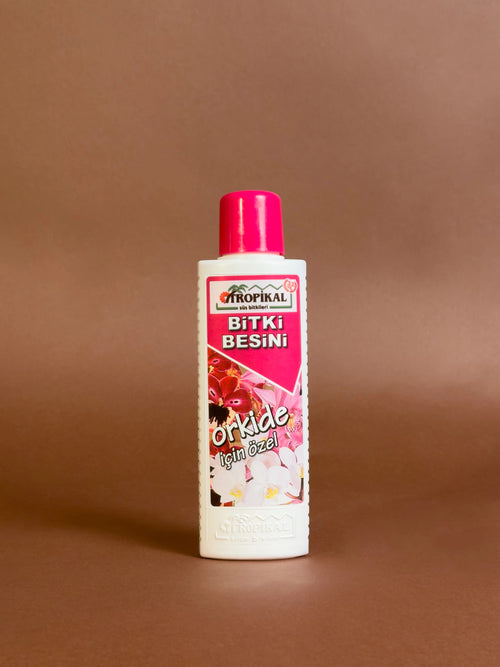 Orkide Besini