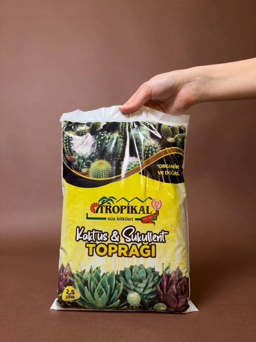 Kaktüs ve Sukulent Toprağı