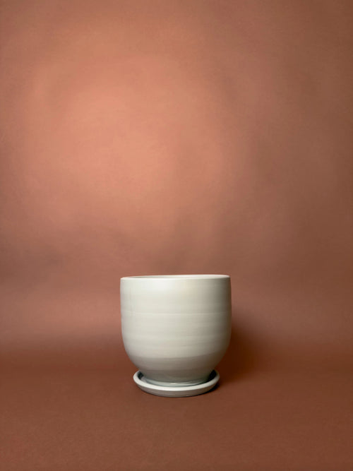 Terra Pastel Saksı