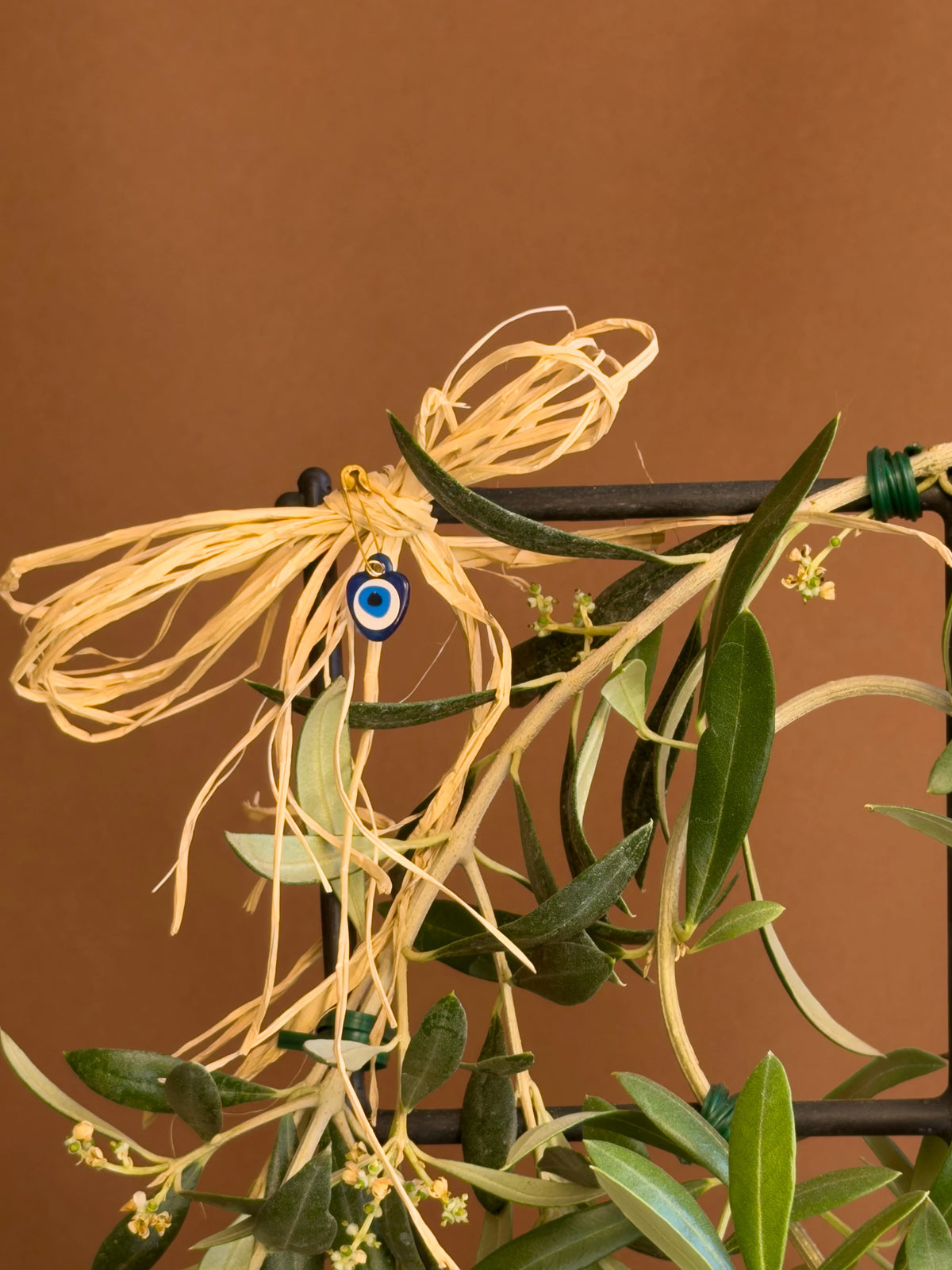 Avrupa Zeytin Ağacı (Olea europaea), 46 cm, şekilli form, görsel 3 / 3